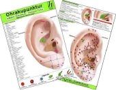 Ohrakupunktur - Indikation: Hörsturz - chinesische Ohrakupunktur / Medizinische Taschen-Karte