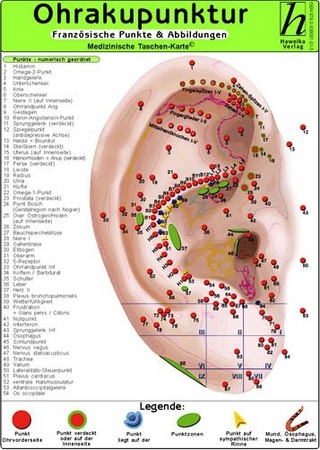 Ohrakupunktur - französische Punkte & Abbildungen / Medizinische Taschen-Karte