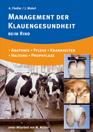 Management der Klauengesundheit beim Rind