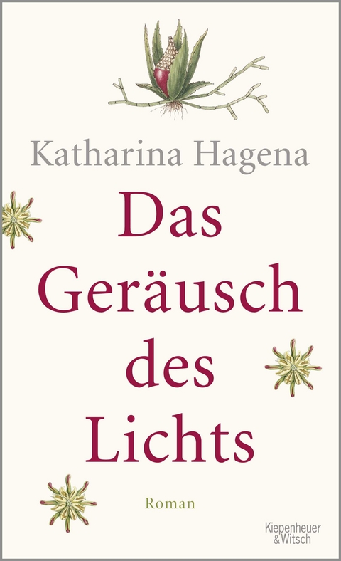 Das Ger&auml;usch des Lichts - Katharina Hagena