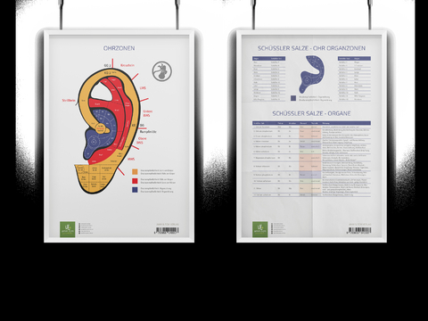 AMM & TCM Lehrtafel Ohr - Michael Uhrhan
