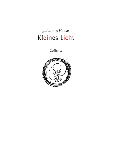 Kleines Licht - Johannes Haase
