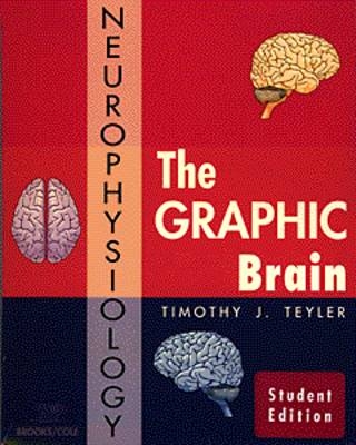 Graphic Brain