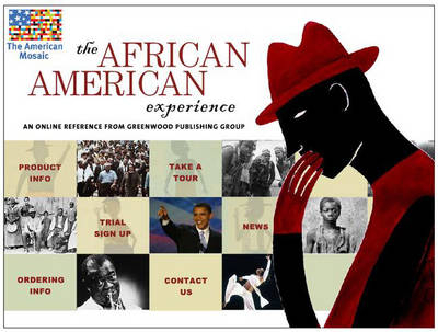 African American Experience -  Various