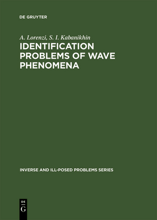 Identification Problems of Wave Phenomena