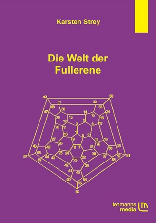 Die Welt der Fullerene