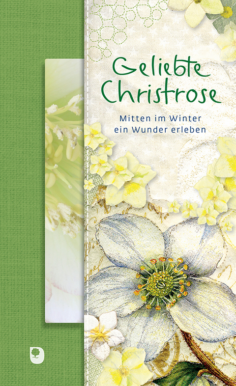 Geliebte Christrose - 