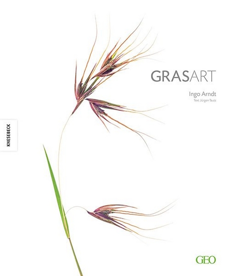 GrasArt - 