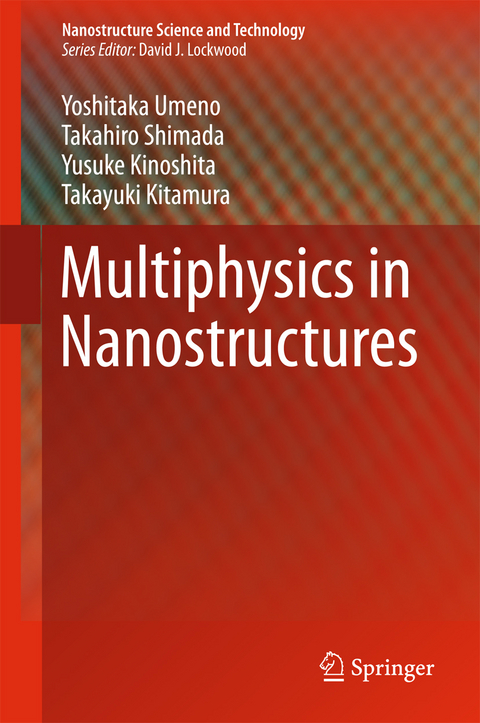 Multiphysics in Nanostructures -  Yusuke Kinoshita,  Takayuki Kitamura,  Takahiro Shimada,  Yoshitaka Umeno