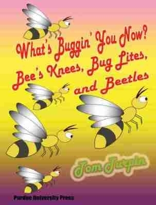 What's Buggin' You Now? - Tom Turpin