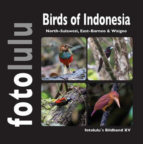 Birds of Indonesien -  fotolulu