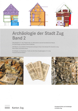 Archäologie der Stadt Zug, Band 2