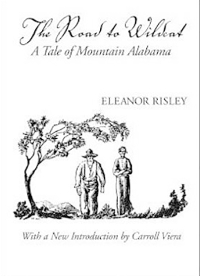 The Road to Wildcat - Eleanor Risley