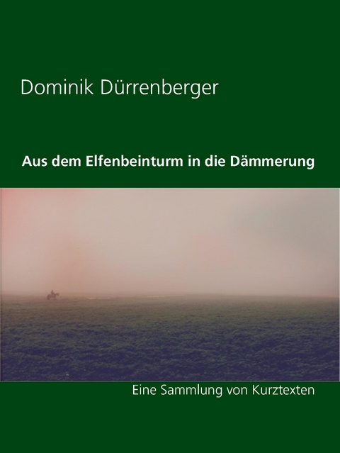 Aus dem Elfenbeinturm in die D&auml;mmerung - Dominik D&uuml;rrenberger