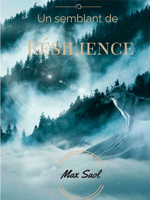 Un semblant de r&eacute;silience - Max Saol