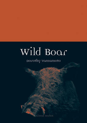 Wild Boar -  Dorothy Yamamoto
