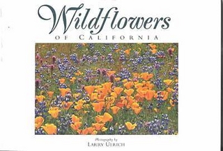 Wildflowers of California