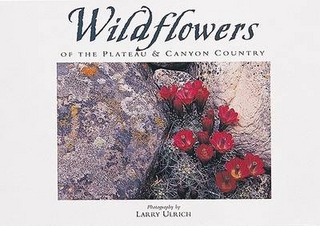 Wildflowers of the Plateau & Canyon Country