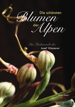 Die schönsten Alpenblumen