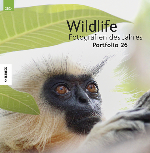Wildlife Fotografien des Jahres &ndash; Portfolio 26 - 