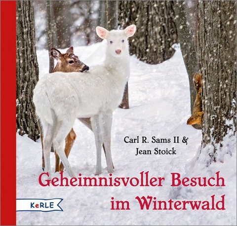 Geheimnisvoller Besuch im Winterwald - Carl R. Sams II., Jean Stoick