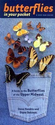 Butterflies in Your Pocket - Steve Hendrix, Diane Debinski