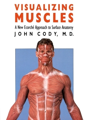 Visualizing Muscles