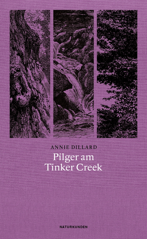 Pilger am Tinker Creek - Annie Dillard