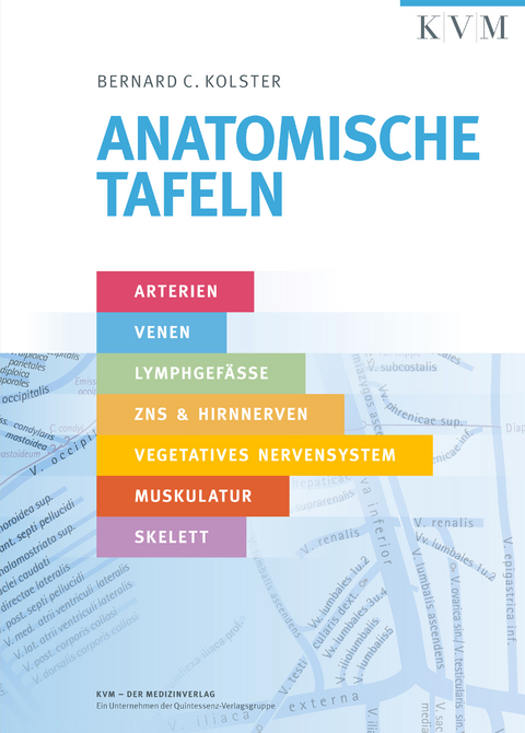 Anatomische Tafeln - Bernard C. Kolster