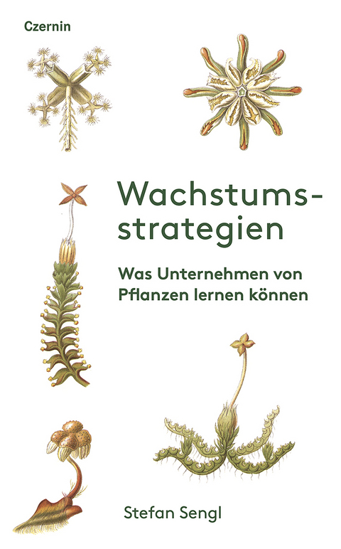 Wachstumsstrategien - Stefan Sengl