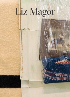 Liz Magor - Liz Magor, Dan Adler, Ian Carr-Harris, G&eacute;raldine Gourbe, Lesley Johnstone, Trevor Mahovsky, Heike Munder, Isabelle Pauwels, Chris Sharp, Bettina Steinbr&uuml;gge, Corin Sworn