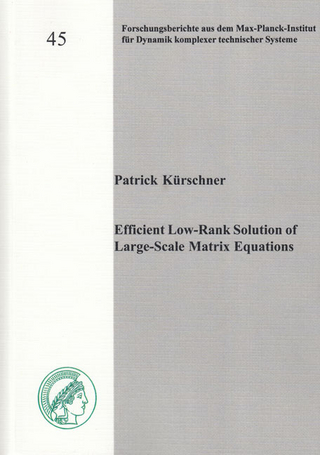 Efficient Low-Rank Solution of Large-Scale Matrix Equations