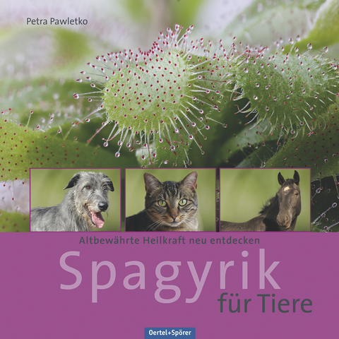 Spagyrik f&uuml;r Tiere - Petra Pawletko