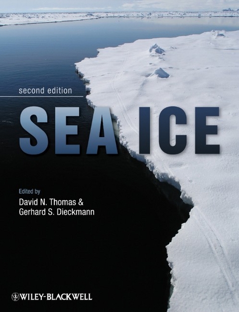 Sea Ice - 