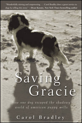 Saving Gracie - Carol Bradley
