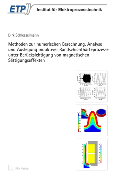 Methoden zur numerischen Berechnung, Analyse und Auslegung induktiver Randschichth&auml;rteprozesse unter Ber&uuml;cksichtigung von magnetischen S&auml;ttigungseffekten - Dirk Schlesselmann