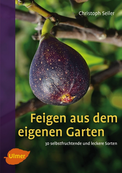 Feigen aus dem eigenen Garten - Christoph Seiler