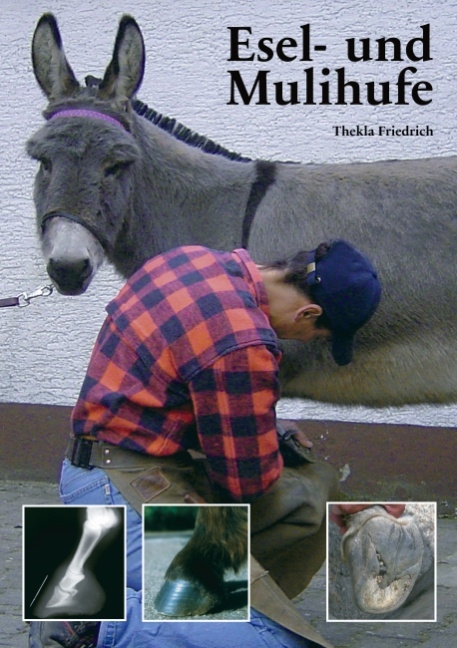 Esel- und Mulihufe - Thekla Friedrich