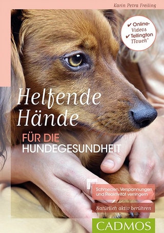 Helfende Hände für die Hundegesundheit