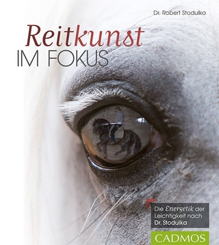 Reitkunst im Fokus