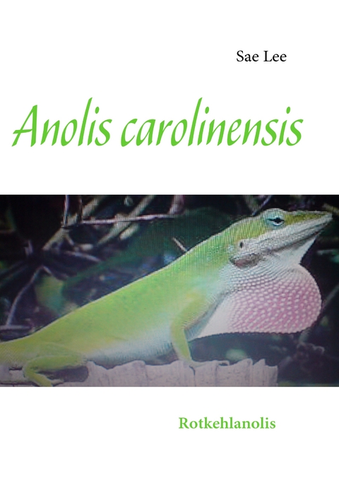 Anolis carolinensis - Sae Lee