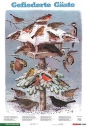 Gefiederte G&auml;ste