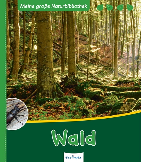 Meine gro&szlig;e Naturbibliothek: Wald - Stefanie Zysk