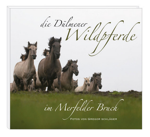 Die D&uuml;lmener Wildpferde im Merfelder Bruch - J&ouml;rg Gierse