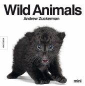 Wild Animals mini