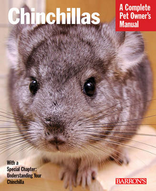 Chinchillas Pom
