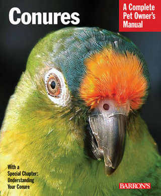 Conures Pom