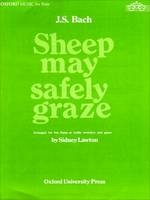 Sheep May Safely Graze - 