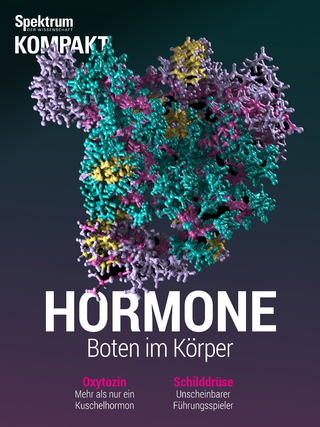 Spektrum Kompakt - Hormone