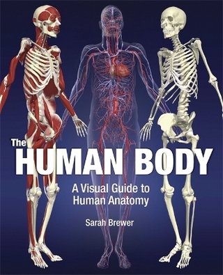 The Human Body